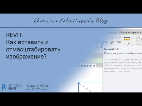 Видео: Как вставить и отмасштабировать изображение, например в формате *jpg (или любой другой формат)?