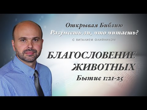 Видео: Благословение животных. Бытие 1:21-25.