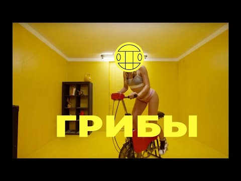 Видео: Грибы - Велик