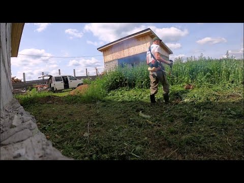 Видео: Косим, косим.. И опять косим..
