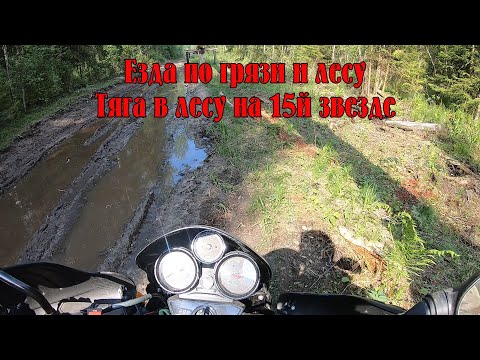 Видео: Bajaj Boxer BM150X - Езда по грязи и лесу на обычной резине. Тяга по бездорожью на 15й звезде.