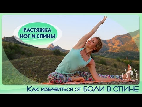 Видео: Как избавиться от БОЛИ В СПИНЕ / Растяжка ног и спины / Растяжка для начинающих