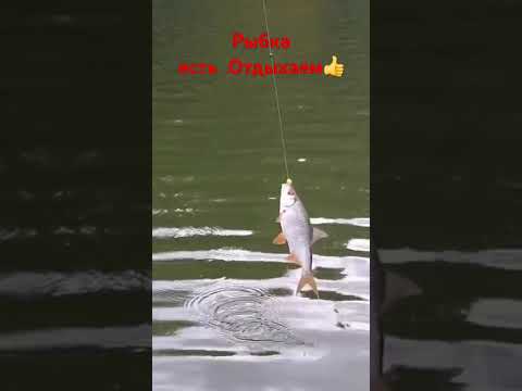 Видео: 10 сентября 2025 г.