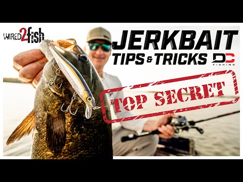 Видео: Советы Дастина Коннелла по ловле джеркбейта Cadence для большего количества окуня