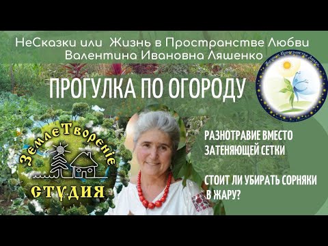Видео: Стоит ли убирать сорняки в жару? Разнотравие вместо затеняющей сетки