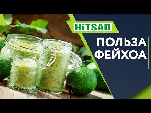 Видео: Чем Полезна Фейхоа ✔️ Варенье из Фейхоа ✔️ Советы От Хитсад ТВ