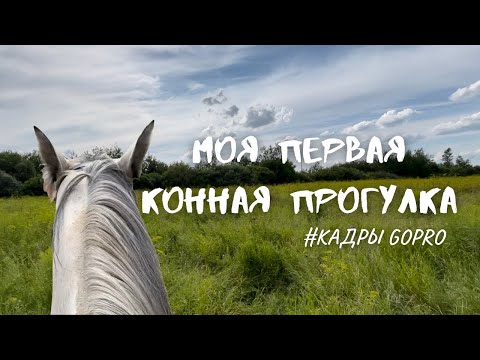 Видео: КОНОБЛОГ// Моя ПЕРВАЯ конная прогулка// кадры GoPro
