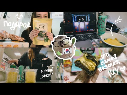 Видео: KOREA VLOG DIARY|начинаю понимать😍.../приятности от хозяйки/жду сертификат и учебники|15-16.02.2025