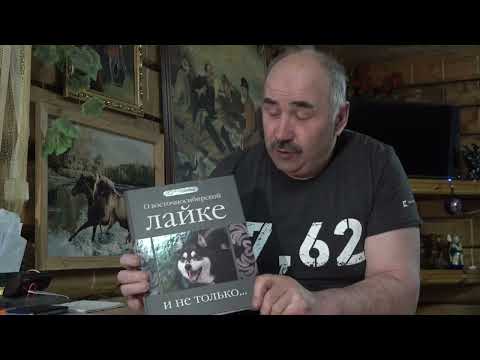 Видео: Главные угрозы собаководству: почему погибают лучшие лайки и как мешает РОРС