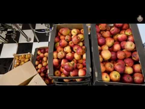 Видео: Приготовление яблочной браги (Тестируем измельчитель и гидропресс)