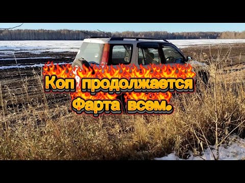 Видео: Цена поднимается на металл нужно ждать и копать. Пойдём на металлокоп Комрад.