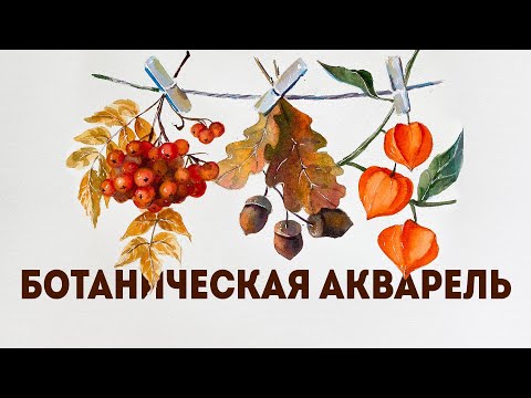 Видео: Как нарисовать ягоды акварелью: ботаническая живопись акварелью