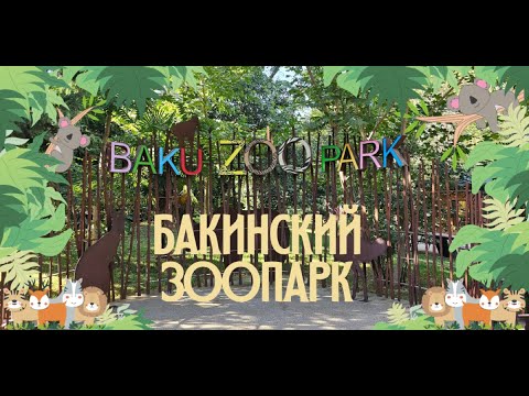 Видео: НОВЫЙ БАКИНСКИЙ ЗООПАРК. Редкие животные и наши впечатления. СТОИТ ли сюда идти?