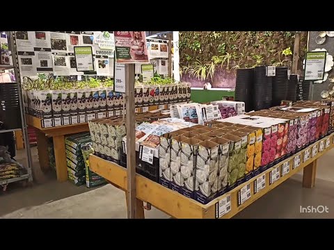 Видео: В Дарвине уже продают посадочный материал: розы, смородина, ежевика, малина и т д.