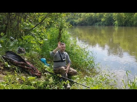 Видео: Ловля Рыбы Летом на Реке. РЫБАЛКА НА ПЛОТВУ. Рыбалка на поплавок. #рыбалка #fishing #ловля