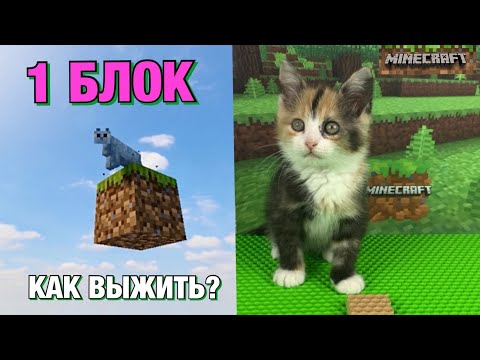 Видео: ВЫЖИВАНИЕ на 1 БЛОКЕ в МАЙНКРАФТ вместе с КОТЁНКОМ 😱😻🧩