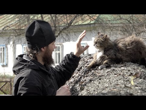 Видео: «ВЕЛИКОЕ падение»