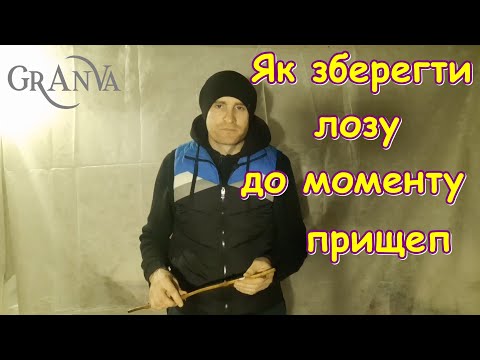 Видео: Зберігання лози до моменту прищеп