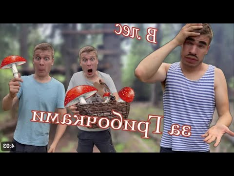 Видео: Малой и грибы наоборот