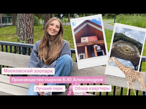 Видео: Московский зоопарк| Производство сырков Б.Ю.Александров| Лесопарк Шишкин лес