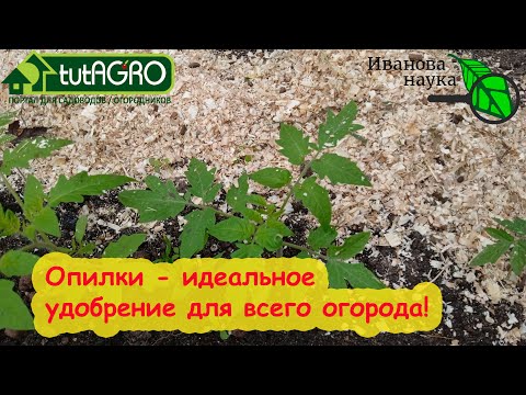 Видео: ОПИЛКИ - ИДЕАЛЬНАЯ МУЛЬЧА и УДОБРЕНИЕ для ВСЕГО САДА и ОГОРОДА. Только сделайте к ним ЭТУ добавочку.