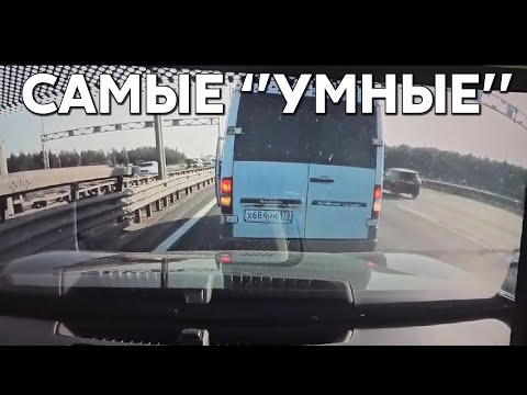 Видео: Подборка САМЫХ "УМНЫХ" водителей #1038