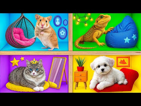 Видео: Строим Домики для Животных | Смешные Моменты от Bubba DO Challenge