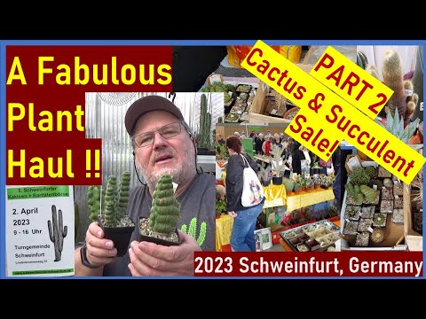 Видео: Мой РАСТИТЕЛЬНЫЙ РЫНОК — Распродажа кактусов и суккулентов. Часть 2, Швайнфурт 2023 #кактусы #сук...