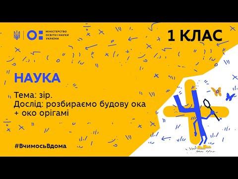 Видео: 1 клас. Наука. Тема: зір. Дослід: розбираємо будову ока + око орігамі (Тиж.1:ЧТ)