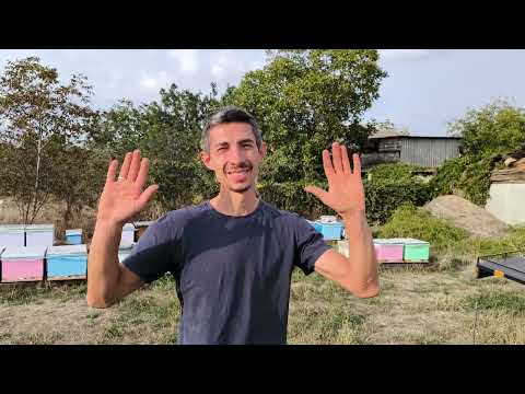 Видео: Одна матка и пару пчел 😳🐝🐝🐝