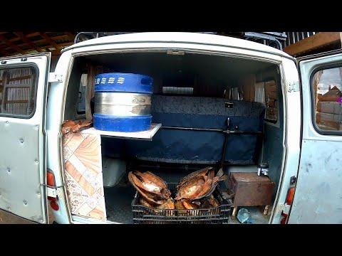 Видео: КОПЧЕНИЕ ГИГАНСКИХ КАРАСЕЙ И ОКУНЕЙ В СТАРОМ ХОЛОДИЛЬНИКЕ!! БЫСТРО,ЭКОНОМНО И ВКУСНО!!
