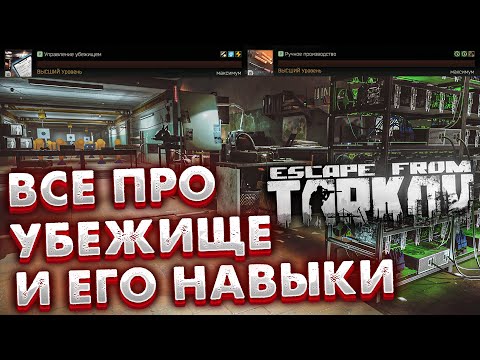 Видео: Все Про Убежище и Его Навыки  🎥  В Escape From Tarkov