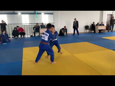 Видео: Дзюдо