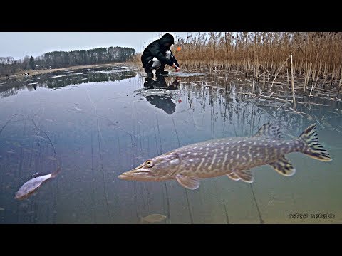 Видео: РЫБАЛКА НА ЖЕРЛИЦЫ НОЧЬЮ! Атака щуки на плотву! Зимняя рыбалка 2020