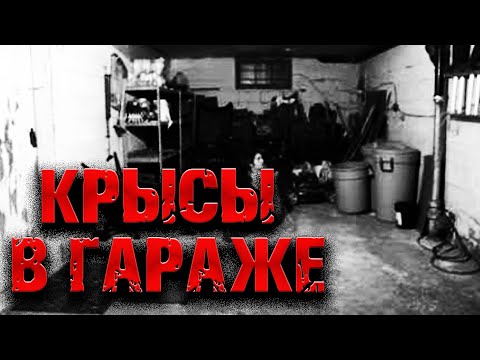 Видео: Страшная история на ночь | КРЫСЫ В ГАРАЖЕ | Черный Рик