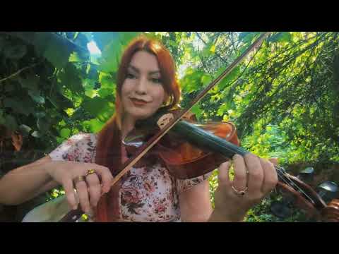 Видео: GRAVEL WALKS VIOLIN SHEET/ИРЛАНДСКИЙ ТАНЕЦ НОТЫ СКРИПКА
