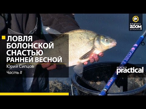Видео: Ловля болонской снастью ранней весной. Юрий Сипцов. Часть 2. Anglers Practical