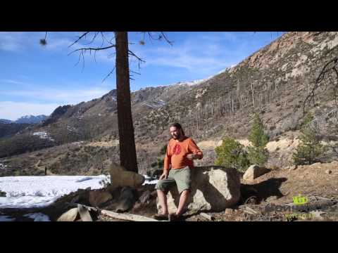 Видео: Действие чая. Воздействие на организм определенных сортов чая.