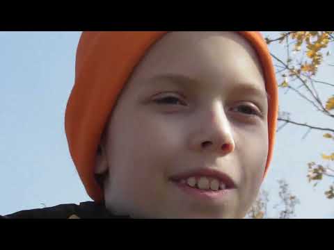 Видео: Ищем грибы.