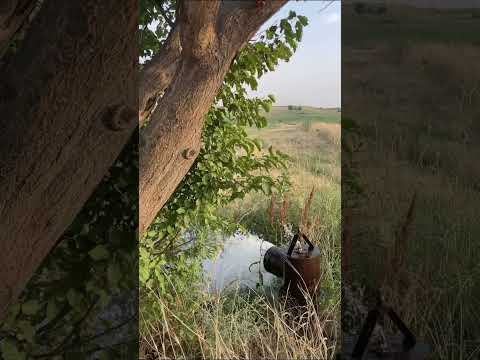 Видео: Қазығұрт ауданы, Қызылсеңгір ауылы, Адай ауыл