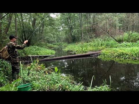 Видео: Суша замість річки: Риболовля на Стоході і підготовка дров