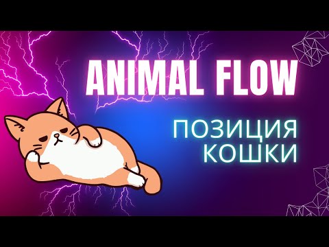 Видео: Animal Flow. Как можно ПРОСТО стоять на четвереньках.