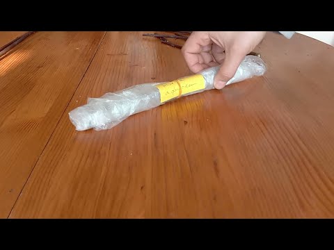 Видео: Съхраняване на калеми