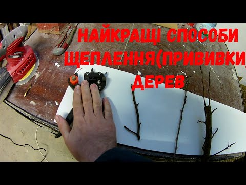 Видео: Найкращі способи щеплення плодових дерев(Лучшие способы прививки плодовых деревьев)