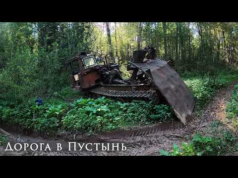 Видео: Поход в Рёконьскую пустынь / Сентябрь 2024