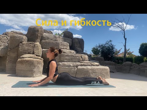 Видео: Практика йоги на силу и гибкость.