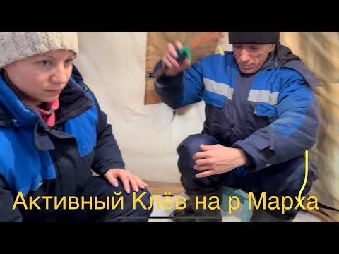 Видео: Активный клёв в непогоду 🐟🐟🐟