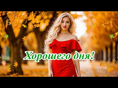 Видео: Доброе утро! Хорошего дня! Музыкальная открытка с пожеланиями.