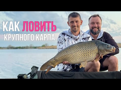 Видео: Соревнования. Как поймать 5 крупных рыб? Карпфишинг 2025