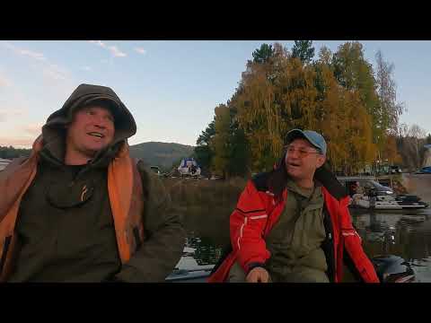 Видео: Приехали на Шумиху, идем на Козыреевский залив ловить леща на соленое сало.